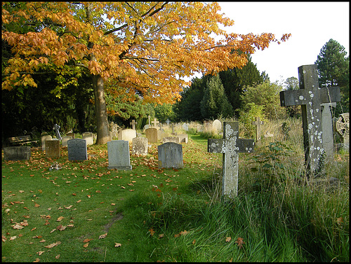 autumn graves