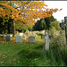 autumn graves