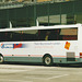 Dorset Travel W384 UEL at London (Victoria) - 8 Jun 2000