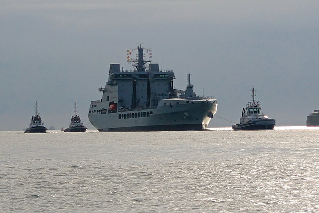 RFA TIDESPRING