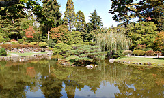 Japanese Garden