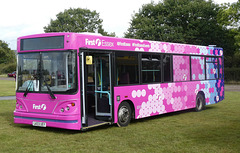 First Essex 41521 (LK03 UEY) at Showbus - 29 Sep 2019 (P1040601)