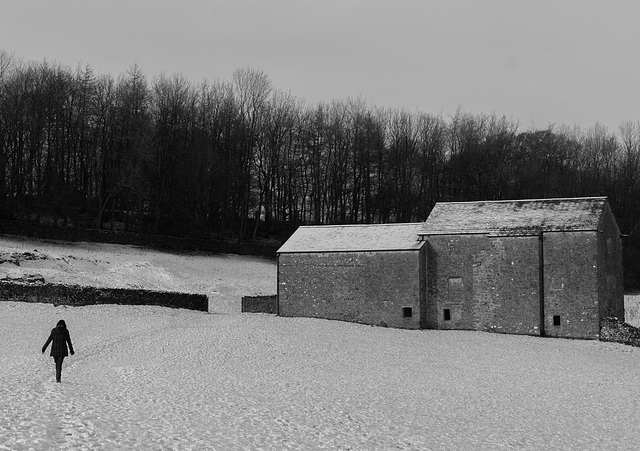 A Winter Walk