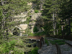 20230606 -08 Lozère tritons (9)