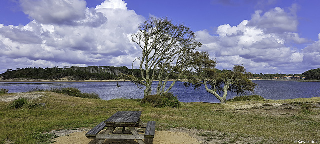 Lac marin de Soustons Plage (FR 40) ! HBM - (+ 2 PIP)