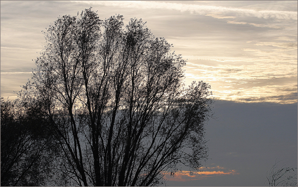 Contre crépuscule