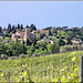 Environs de Certaldo (I / Toscane) 15 mai 2011.