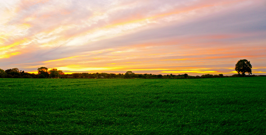 Autumn sunset