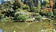 Japanese Garden