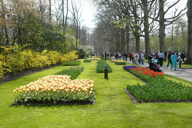 Keukenhof Gardens