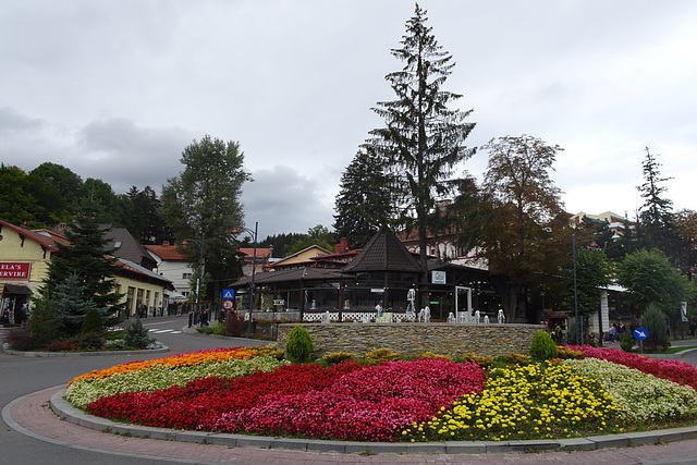 Flowers On The Roundabout