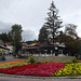 Flowers On The Roundabout