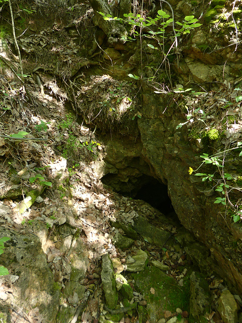 20230606 -08 Lozère tritons (13)