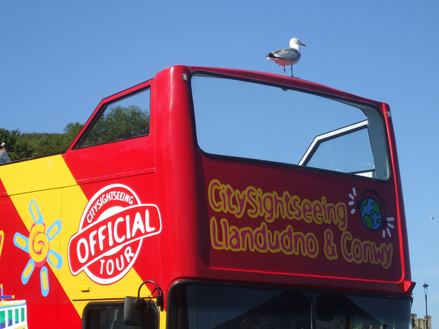 DSCF9788 Alpine Coaches JAZ 9864 (in City Sightseeing livery) DSCF9788 Alpine Coaches JAZ 9864 (in City Sightseeing livery)
