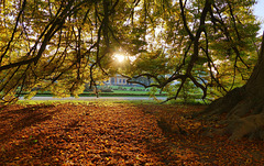 Dresden - Schlosspark Pillnitz