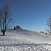 Towards the summit of the hill, among the bare trees