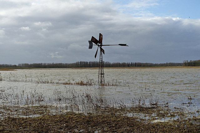 11 februari windmolen