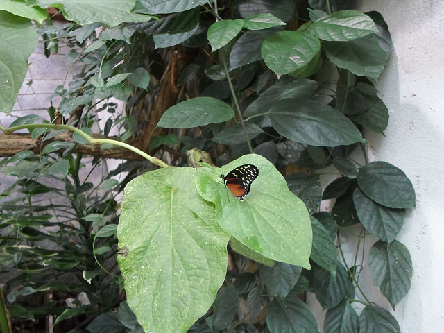 Biosphäre Potsdam