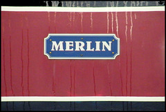 Merlin