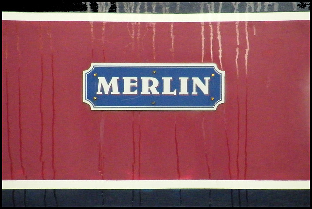 Merlin