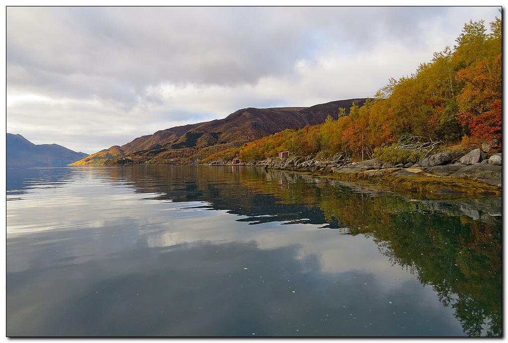 Fjord