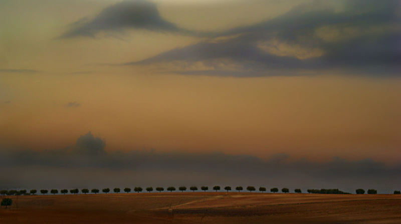 Du coté de Sidi-Belabbes.