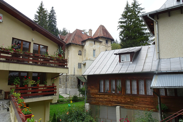 Houses In Sinaia