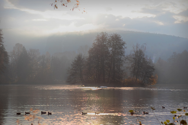 Erholung am See