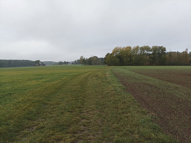 Fränkischer Jakobsweg: Creußen - Pegnitz