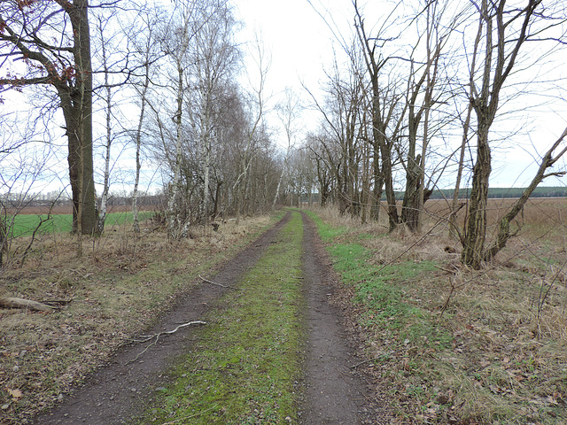 Alter Landweg bei Fernneuendorf