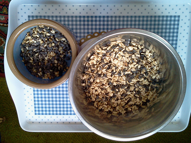 sunflower seeds / zonnebloempitten