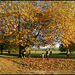autumn in the Broad Walk