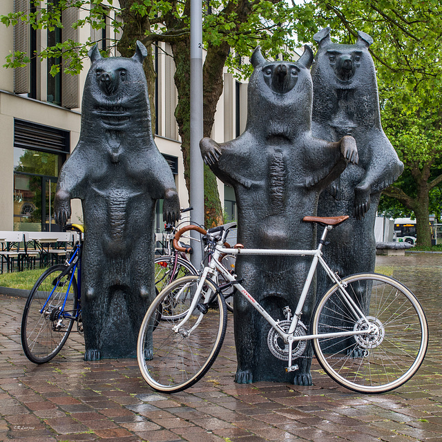 "Bewacher Fahrradparkplatz" am Schlossplatz