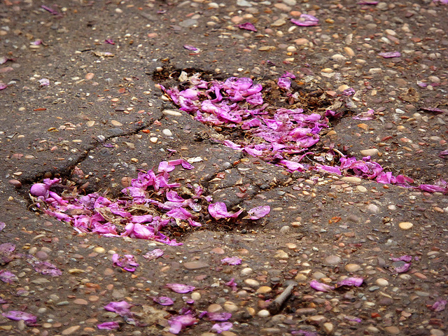 flowered footprints