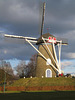 Lieshout