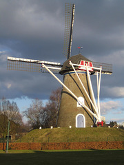 Lieshout