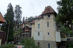 Houses In Sinaia