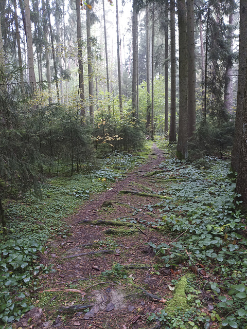 Fränkischer Jakobsweg: Creußen - Pegnitz