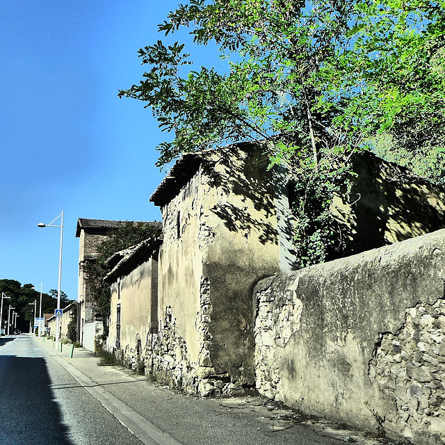 Fermé avec un arbre