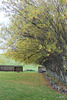 Autumn leaves are falling