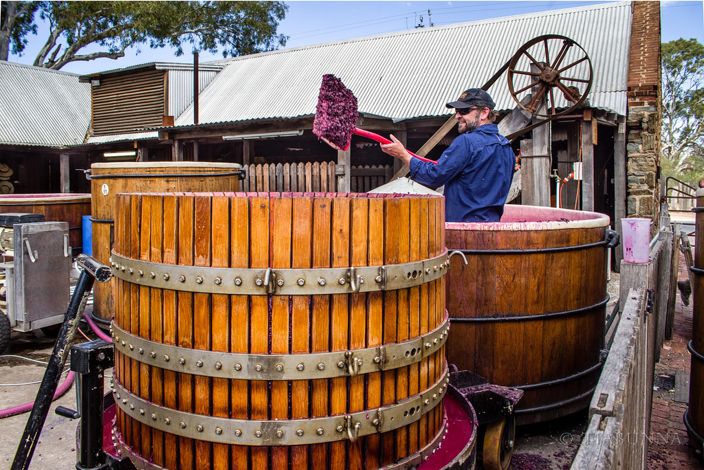 Working the winery