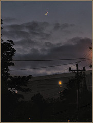 The Moon over our street a few minutes ago