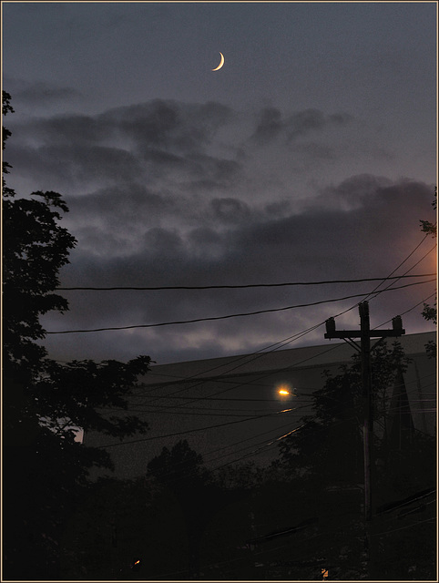 The Moon over our street a few minutes ago