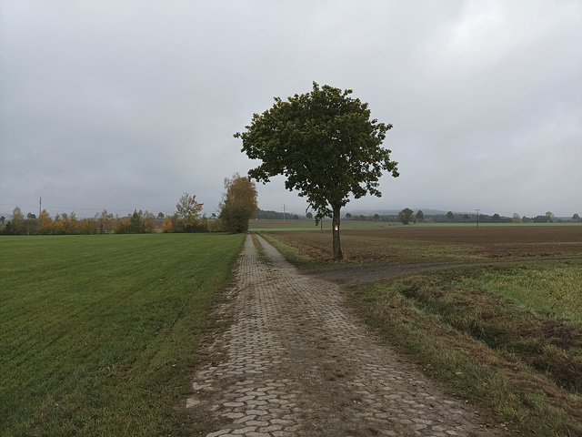 Fränkischer Jakobsweg: Creußen - Pegnitz