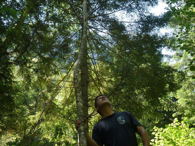 20150710 -15 Rando Spéléo St Pierre de Chartreuse (210)