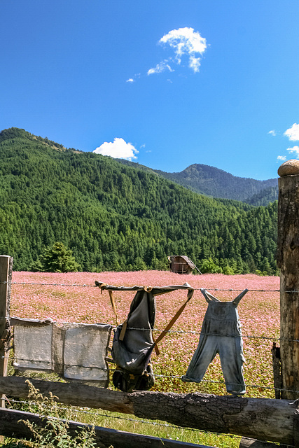 Bumthang valley