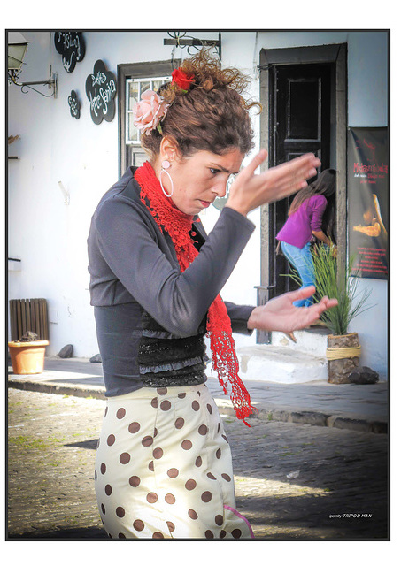 Flamenco