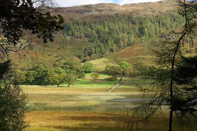 Across Blea Tarn
