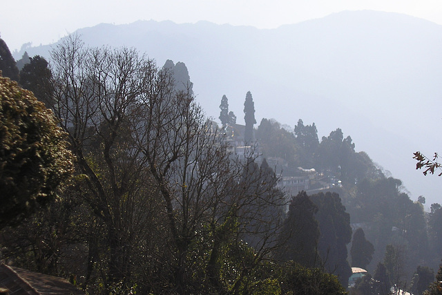 View From The Cedar Inn