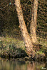 Toute proportion gardée.